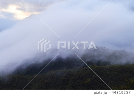 【新潟県】枝折峠(国道352号線)から見る風景(滝雲・雲海) 【新潟県】枝折峠(国道352号線)から見る風景(滝雲・雲海) 44319257
