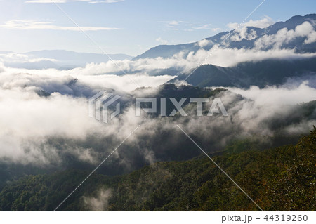 【新潟県】枝折峠(国道352号線)から見る風景(滝雲・雲海) 【新潟県】枝折峠(国道352号線)から見る風景(滝雲・雲海) 44319260