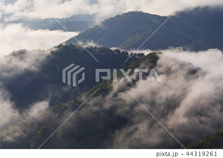 【新潟県】枝折峠(国道352号線)から見る風景(滝雲・層雲・雲海) 【新潟県】枝折峠(国道352号線)から見る風景(滝雲・層雲・雲海) 44319261
