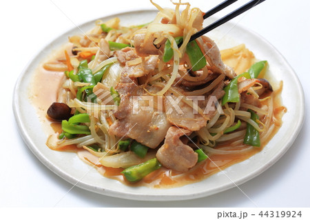 豚肉もやし炒め 豚肉もやし炒め 44319924