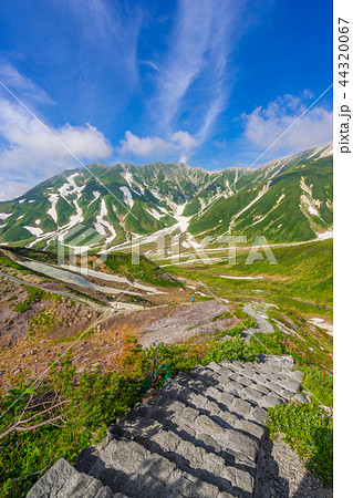 日本百名山立山、雷鳥荘付近から雷鳥沢方面を見る(富山県中新川郡立山町)※作品コメント欄に撮影位置あり 日本百名山立山、雷鳥荘付近から雷鳥沢方面を見る(富山県中新川郡立山町)※作品コメント欄に撮影位置あり 44320067