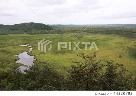 釧路湿原 釧路湿原 44320792