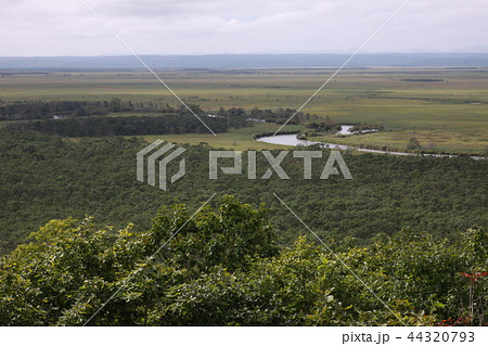 釧路湿原 44320793