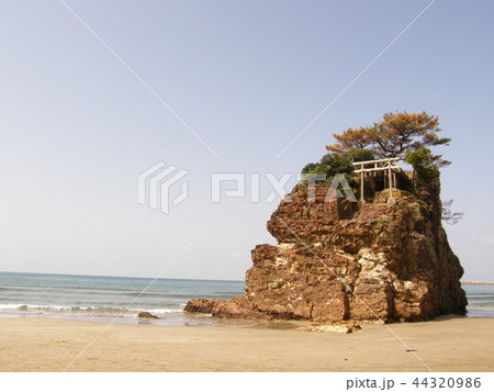 海 海 44320986