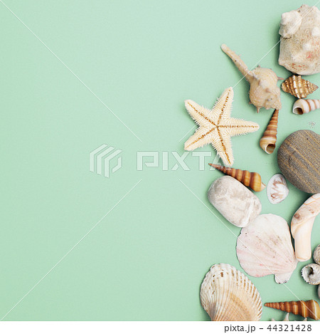 Flat lay. Top view. Frame of shells. Vacation 44321428