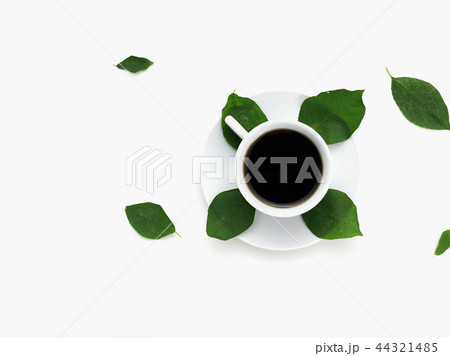 Coffee cup with leaves. Flat lay. Nature concept. 44321485
