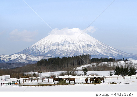 冬の羊蹄山 豊浦町 冬の羊蹄山 豊浦町 44321537