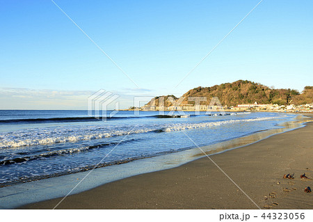 由比ヶ浜 44323056