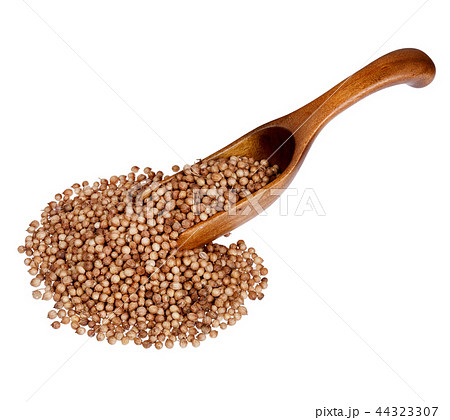 Coriander seeds in the wooden spoon, isolated on white backgroun Coriander seeds in the wooden spoon, isolated on white backgroun 44323307