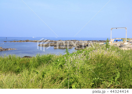 小和田湾 小和田湾 44324414
