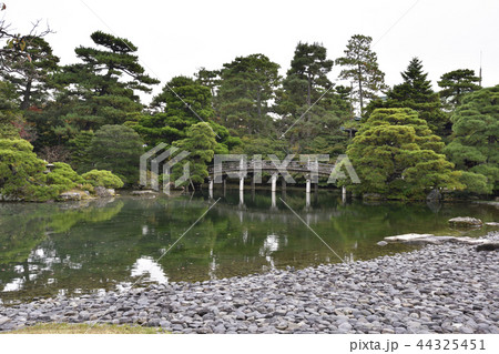 京都御所　御池庭と欅橋 44325451