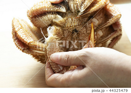 毛蟹 毛蟹 44325479