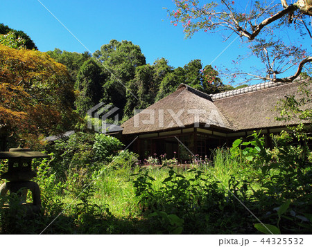 北鎌倉　浄智寺　庫裡 44325532