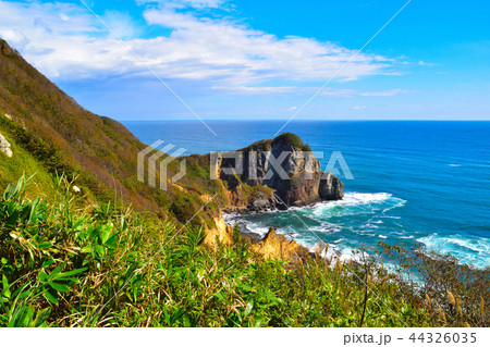 絵鞆半島外海岸 44326035