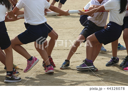 運動会　棒引き 44326078