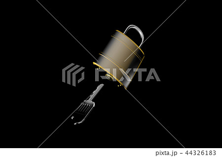 防犯イメージ（南京錠タイプ）黒バック 44326183