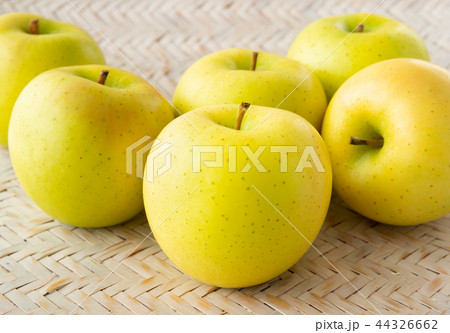 きおう　リンゴ　黄色い林檎　岩手1号 44326662