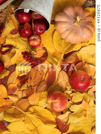 autumn harvest - fruits and vegetables on leaves 44326870