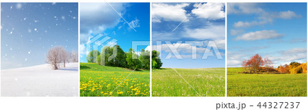 Beautiful trees in four seasons landscape on the field 44327237