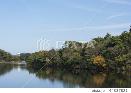 福岡 福岡 44327821