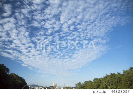 ひつじ雲 44328037
