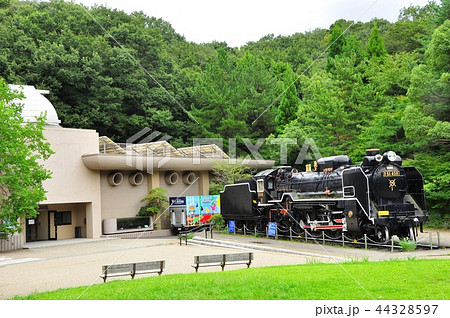 川崎市 生田緑地のかわさき宙と緑の科学館とD51(デゴイチ) 川崎市 生田緑地のかわさき宙と緑の科学館とD51(デゴイチ) 44328597