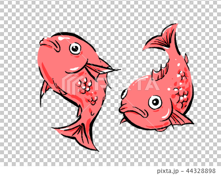 鯛のイラスト素材 4432 鯛のイラスト素材 4432