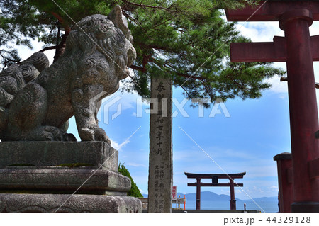 白鬚神社の狛犬と湖中大鳥居 44329128
