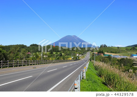 ニセコ町、黒川地区から見る晩夏の羊蹄山 44329578