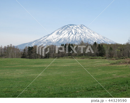 春の羊蹄山 春の羊蹄山 44329590