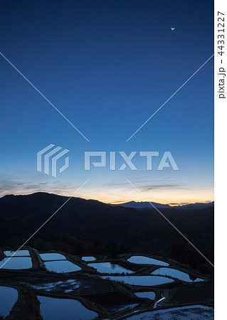 新潟県長岡市山古志　東の空に三日月が残る棚田の夜明け 44331227
