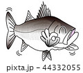 シーバスくん、グーサインポーズ 44332055