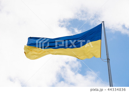 Ukrainian flag in the sky close up Ukrainian flag in the sky close up 44334836