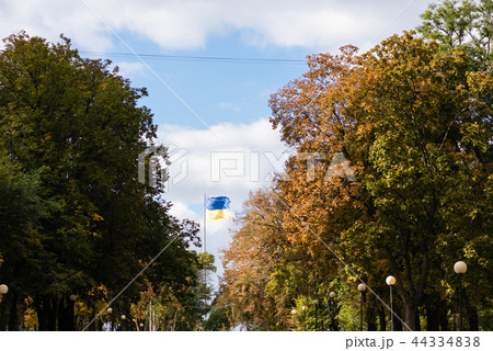 Ukrainian flag far in sky between trees 44334838