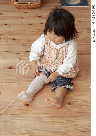 靴下をはく女の子 靴下をはく女の子 44335490