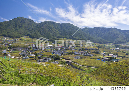 勝沼ぶどう郷 勝沼ぶどう郷 44335746