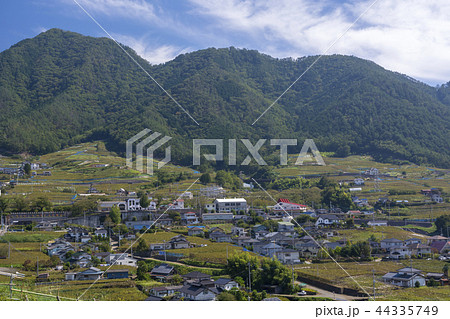 勝沼ぶどう郷 勝沼ぶどう郷 44335749