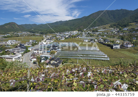 勝沼ぶどう郷 44335759