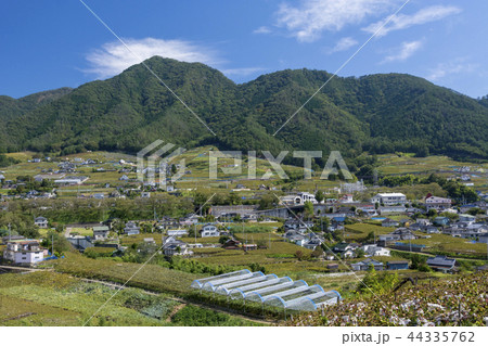 勝沼ぶどう郷 44335762