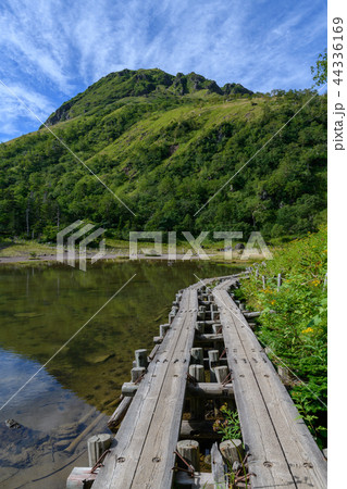 弥陀ヶ池から見た日光白根山 弥陀ヶ池から見た日光白根山 44336169