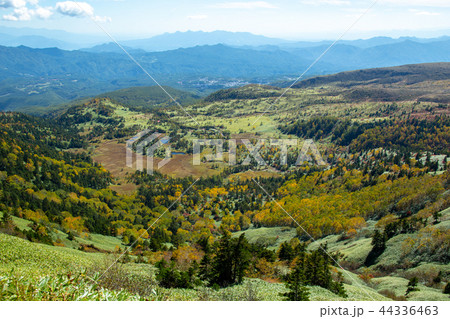 志賀高原の絶景を望む 志賀高原の絶景を望む 44336463