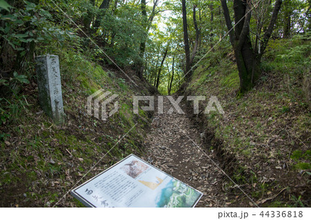 金山城跡 西矢倉台下堀切 群馬県太田市 金山城跡 西矢倉台下堀切 群馬県太田市 44336818