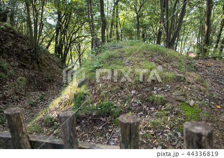 金山城跡　西矢倉台下堀切　群馬県太田市　 44336819