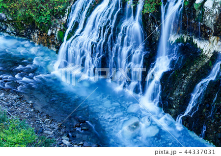 白ひげの滝 白ひげの滝 44337031