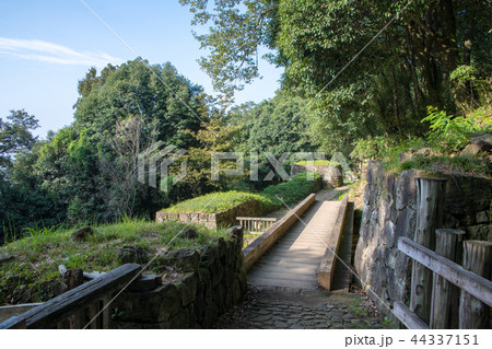 金山城跡　石塁　群馬県太田市　 44337151