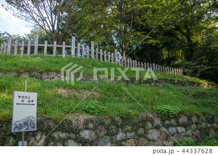 金山城跡　石塁　群馬県太田市　 44337628