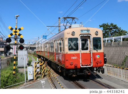 阪神電鉄　武庫川線の電車 44338241