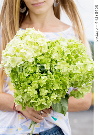 Bouquet of hydrangeas in hands close-up 44338459