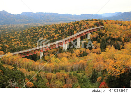 三国峠と紅葉　北海道上士幌町 44338647