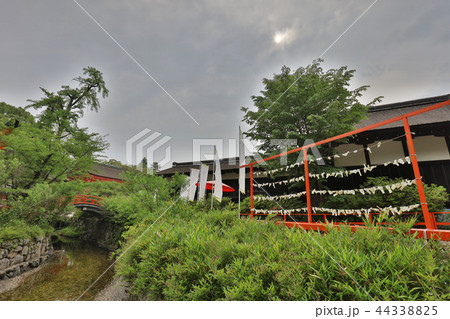 Scenery of shimogamo inja in Kyoto, Japan 44338825